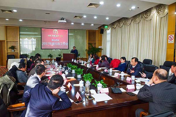 中國最早專業(yè)生產(chǎn)膠囊制劑企業(yè)|鹽酸二甲雙胍片